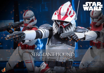Star Wars Hot Toys Sergeant Hound TMS167 1/6 Licensed Action Figure