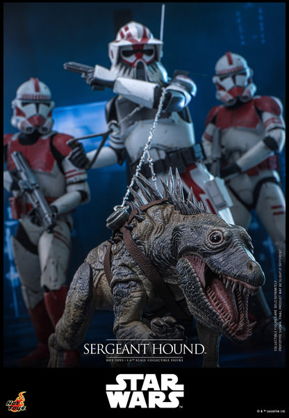 Star Wars Hot Toys Sergeant Hound TMS167 1/6 Licensed Action Figure