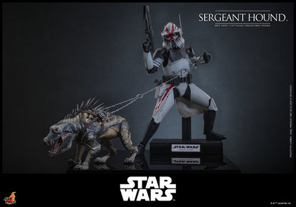 Star Wars Hot Toys Sergeant Hound TMS167 1/6 Licensed Action Figure