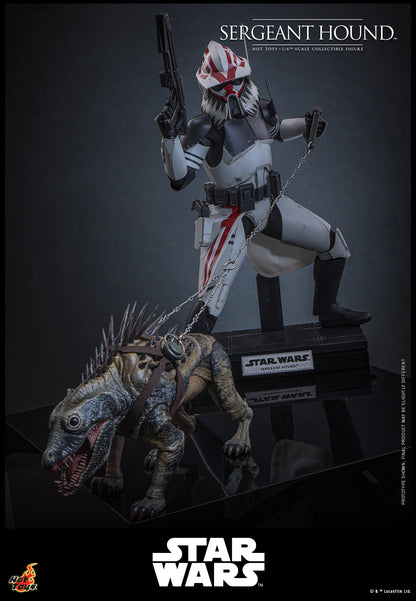 Star Wars Hot Toys Sergeant Hound TMS167 1/6 Licensed Action Figure