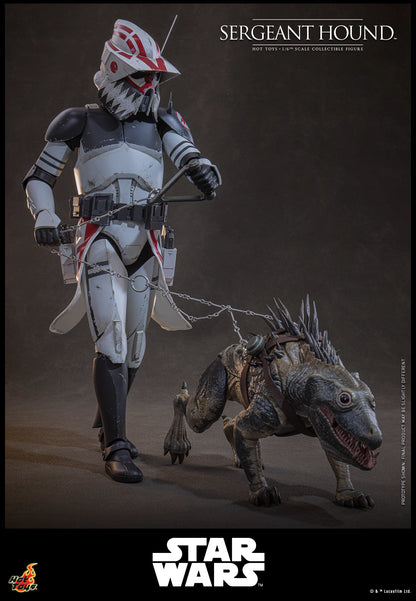 Star Wars Hot Toys Sergeant Hound TMS167 1/6 Licensed Action Figure