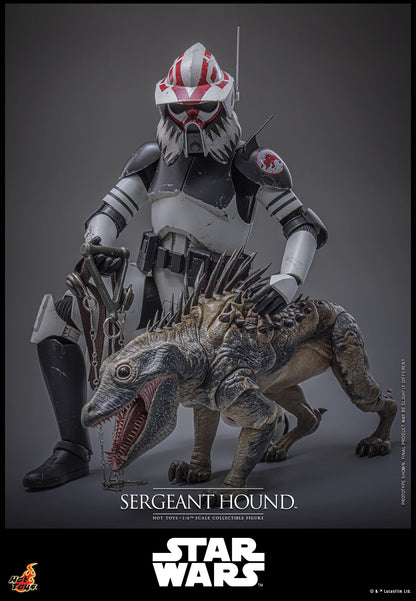 Star Wars Hot Toys Sergeant Hound TMS167 1/6 Licensed Action Figure
