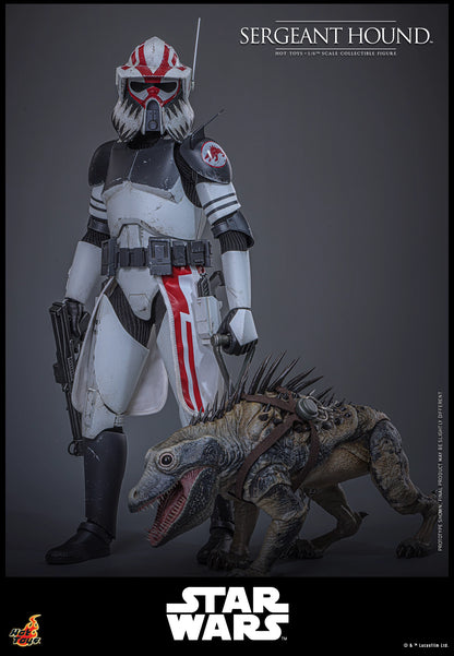 Star Wars Hot Toys Sergeant Hound TMS167 1/6 Licensed Action Figure