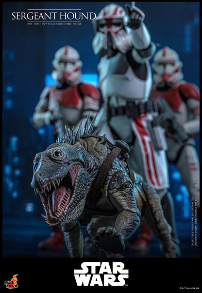 Star Wars Hot Toys Sergeant Hound TMS167 1/6 Licensed Action Figure