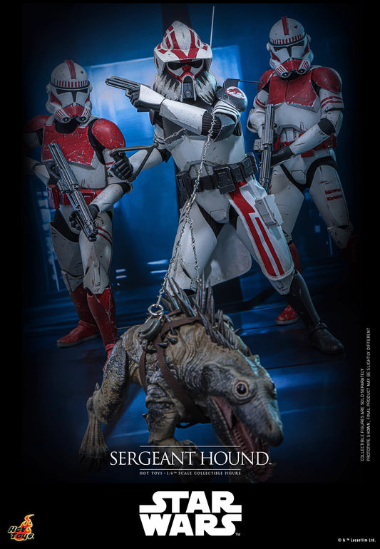 Star Wars Hot Toys Sergeant Hound TMS167 1/6 Licensed Action Figure
